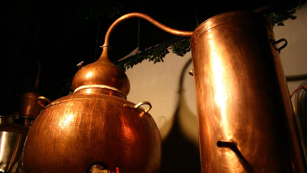 Two copper alembic pot stills, one with a curved swan neck, lit warmly against a dark distillery wall.