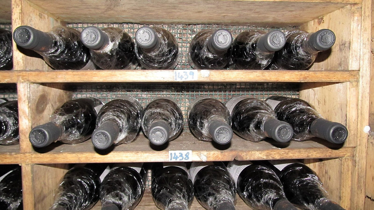 Rows of dusty old bottles lying neck-out on numbered wooden cellar shelves, labels hidden.