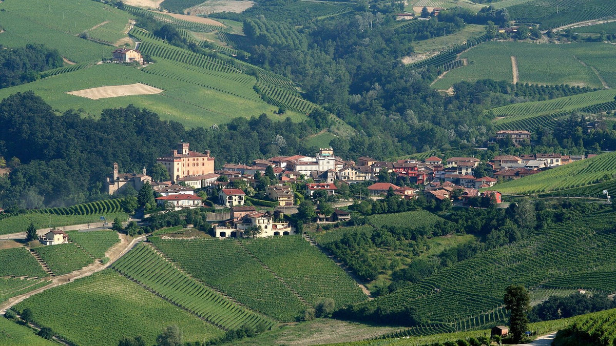 Rolling vineyard hills of the Langhe around the village of Barolo, seen from La Morra in Piedmont.