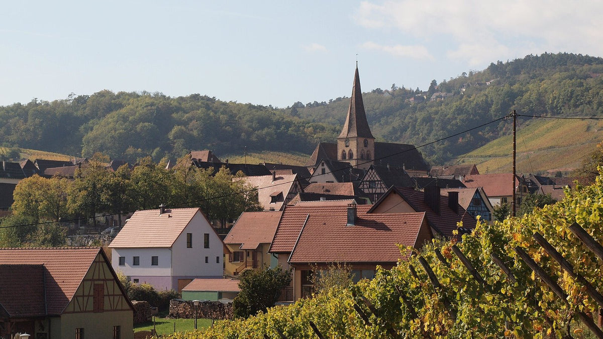 An Alsace village with a pointed church spire and red-roofed houses below steep vineyard slopes.