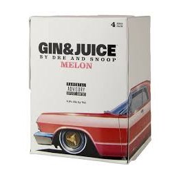 Gin and Juice - Melon 4/355ml - TIPXY