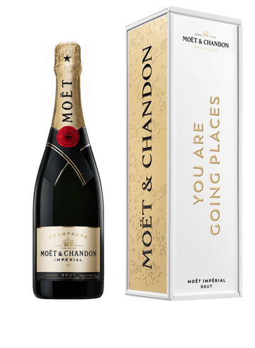Moet and Chandon "You Are Going Places"