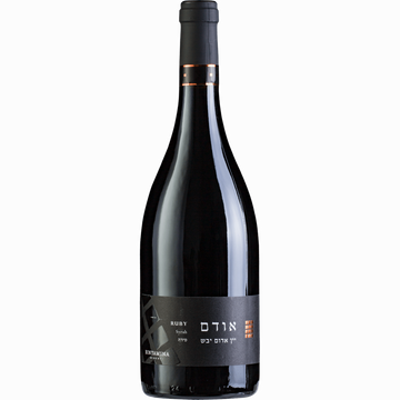 Binayamina Choshen - Binyamina Chosen Ruby Dry Red Wine - TIPXY