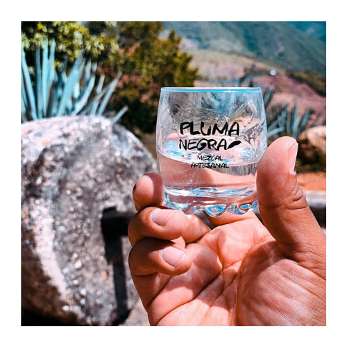 Four Distinct Expressions of Mezcal: Meet Pluma Negra