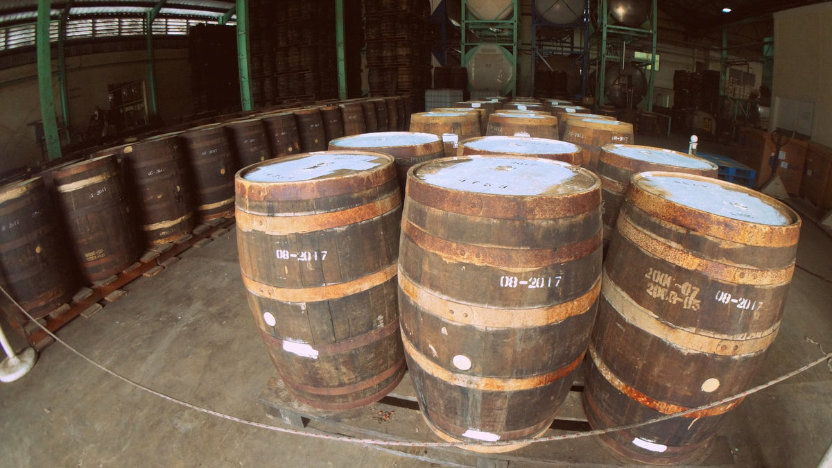 Rows of rust-hooped oak rum barrels with chalked fill dates resting on pallets inside an open-sided ageing warehouse in Barbados.