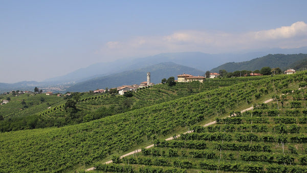 Steep rows of vines on the hills of Valdobbiadene with a village and mountains in the distance.