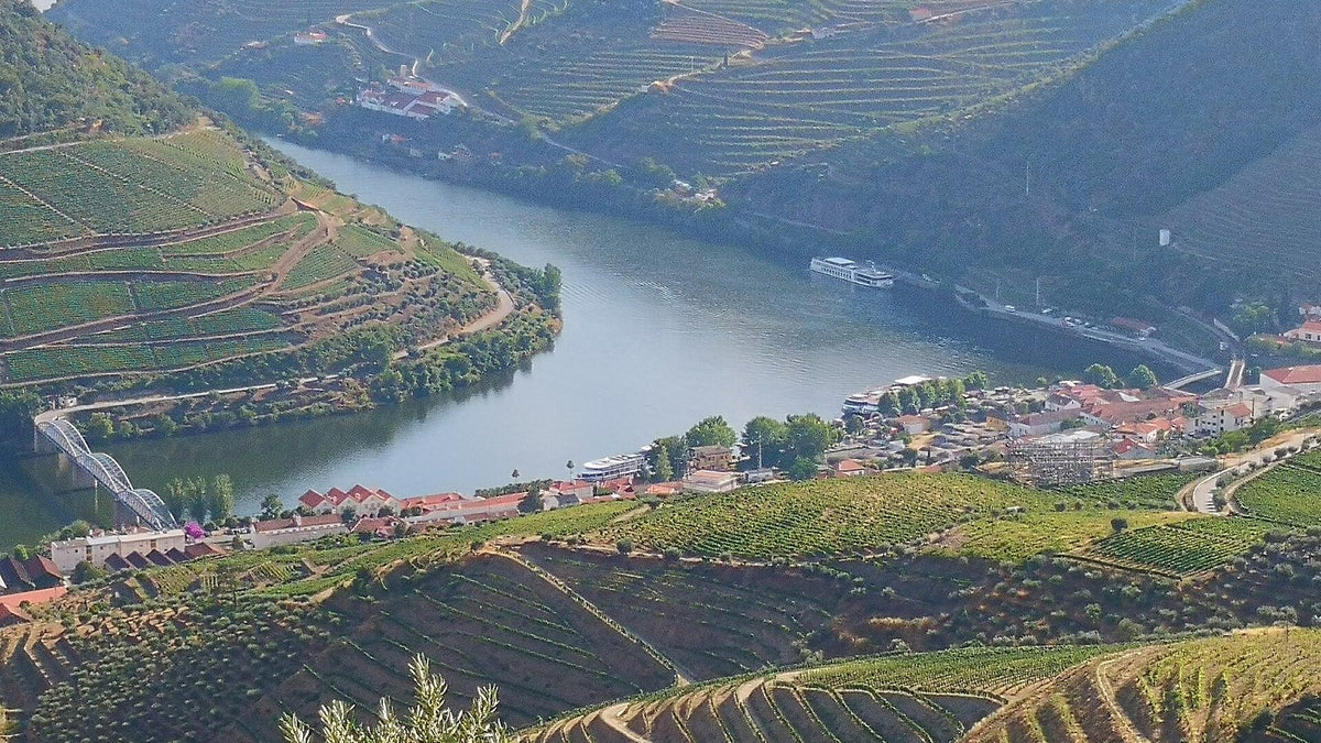 Terraced vineyards climbing steep slopes above a bend of the Douro River at Pinhão, Portugal.