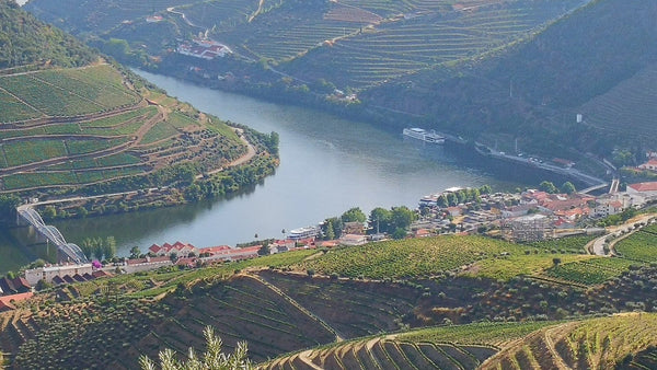 Terraced vineyards climbing steep slopes above a bend of the Douro River at Pinhão, Portugal.
