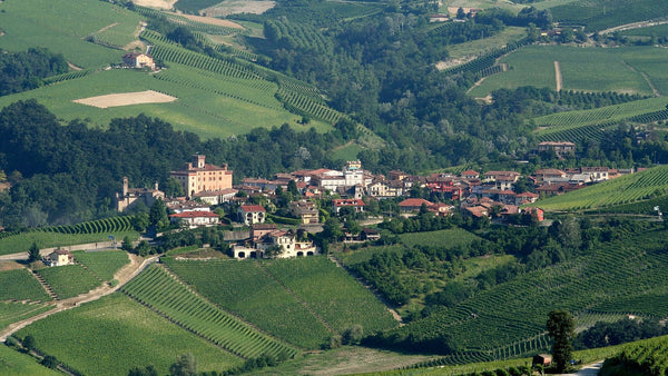 Rolling vineyard hills of the Langhe around the village of Barolo, seen from La Morra in Piedmont.