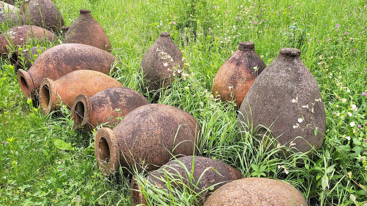 Weathered clay kvevri wine vessels lying in tall grass in Ikalto, Georgia.