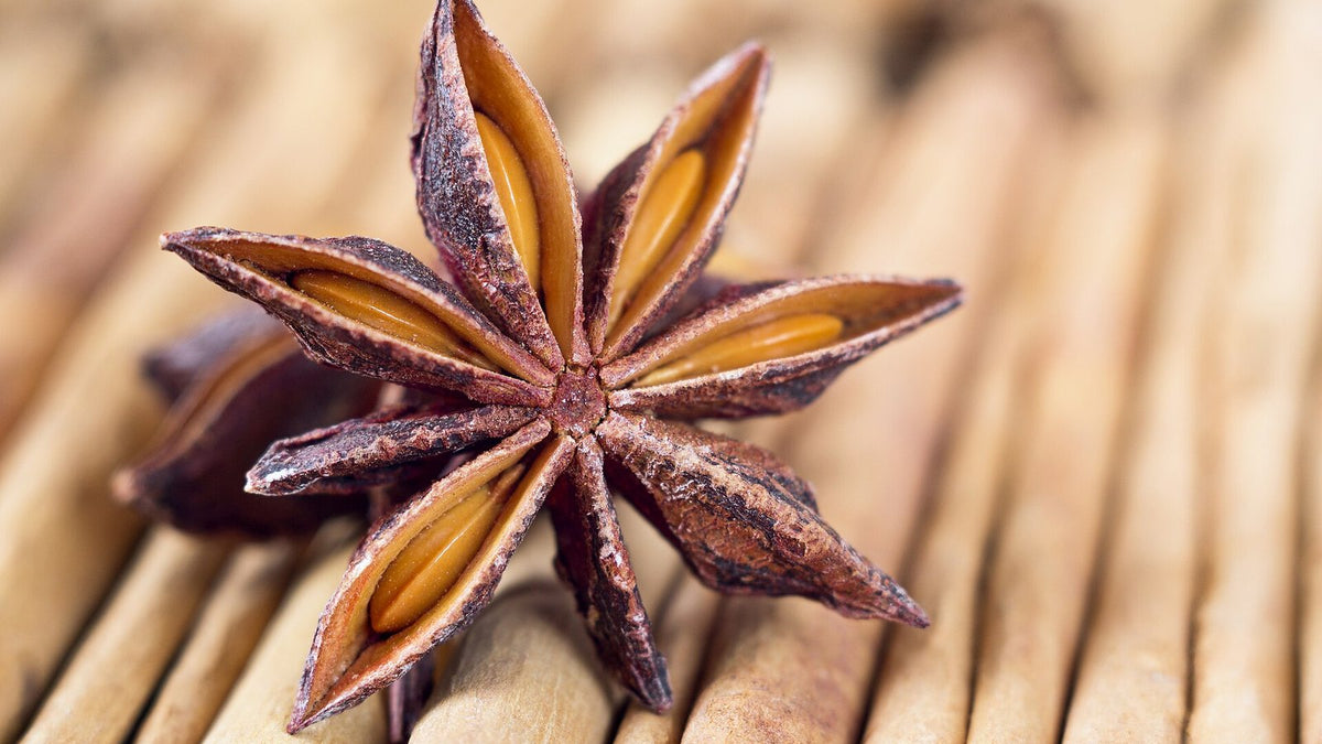Close-up of a star anise pod resting on a bed of cinnamon sticks.