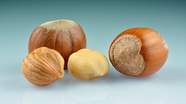 Whole hazelnuts in the shell beside shelled and cracked kernels on a blue-grey background.