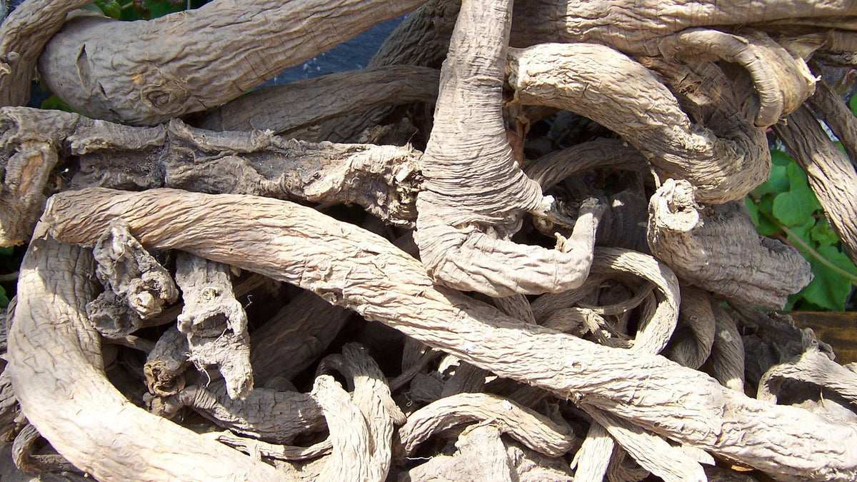 A heap of dried, gnarled yellow gentian roots, the bittering root behind many amari.
