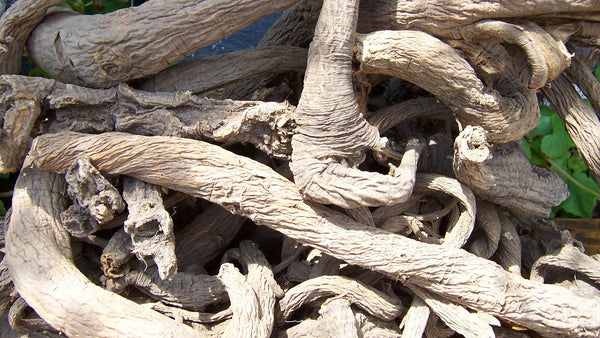 A heap of dried, gnarled yellow gentian roots, the bittering root behind many amari.