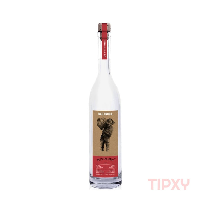 NO LONGER AVAILABLE - Puntagave Bacanora White - TIPXY