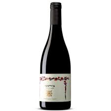 Recanati Bittuni - TIPXY