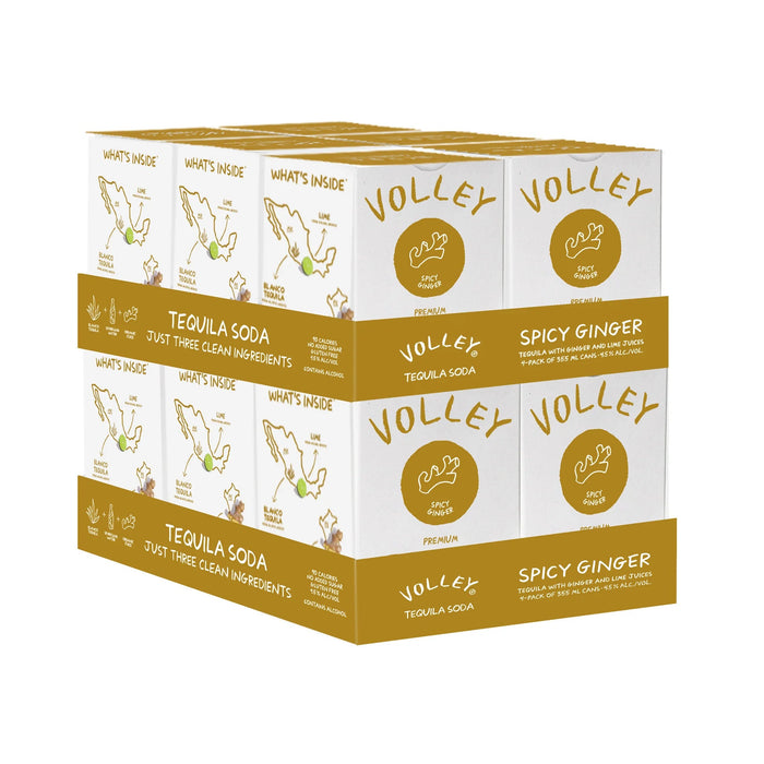 Volley - Spicy Ginger (48 pack) - TIPXY