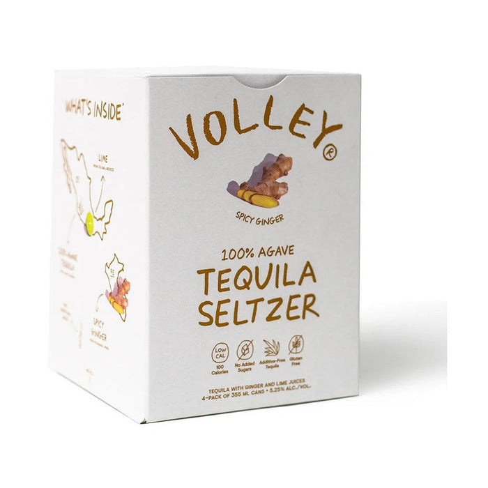 Volley - Spicy Ginger Seltzer (4 pack) - TIPXY