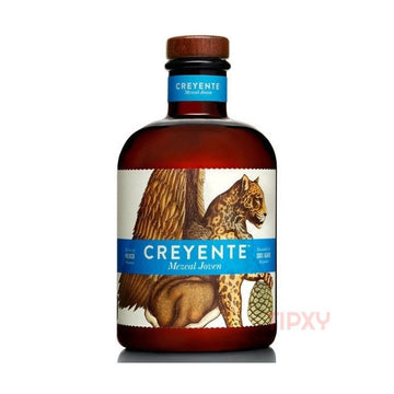 Creyente - Joven - TIPXY