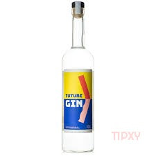 Future - GIN - TIPXY