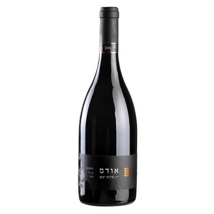 Binyamina - The Chosen Ruby Dry Red Blend Wine - TIPXY