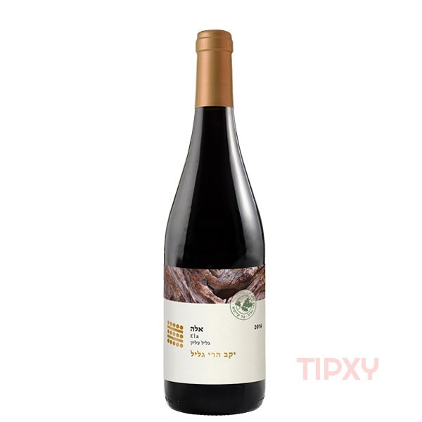 Galil Mountain - 2019 Alon Red Blend Wine - TIPXY