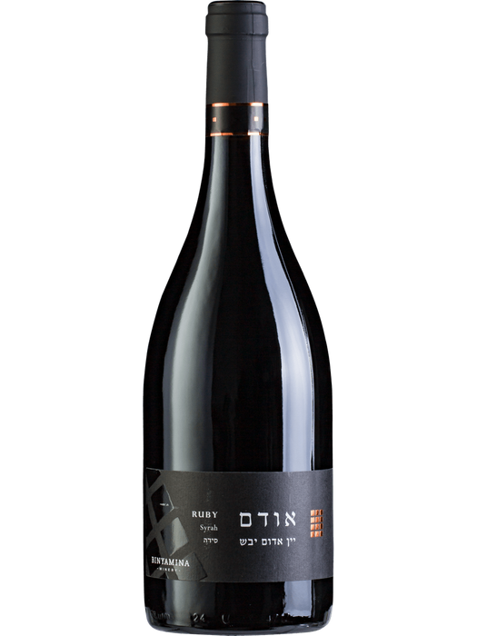 Binayamina Choshen - Binyamina Chosen Ruby Dry Red Wine