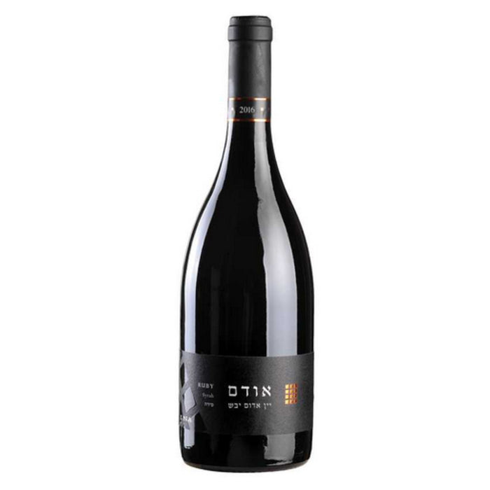 Binyamina - The Chosen Ruby Dry Red Blend Wine