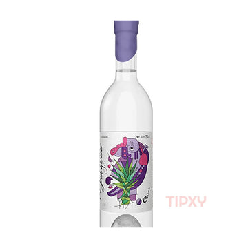 El Jolgorio - Cuixe Mezcal