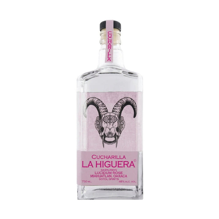 La Higuera - Sotol Cucharilla Dasylirion Lucidum Rose