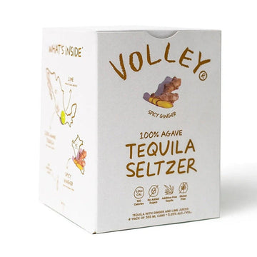 Volley - Spicy Ginger Seltzer (4 pack)