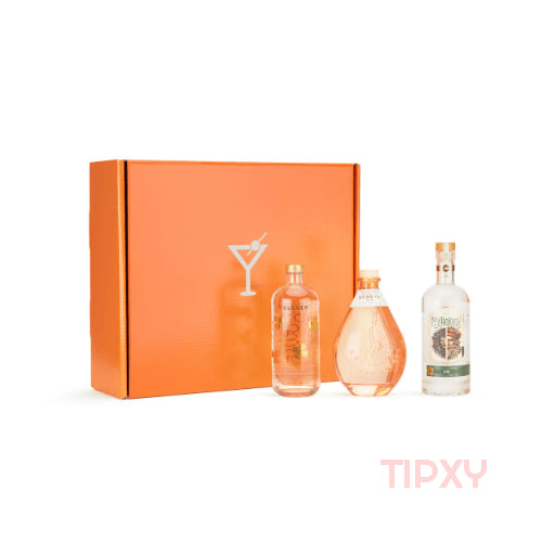 Gin - Tipxy Subscription Box - TIPXY