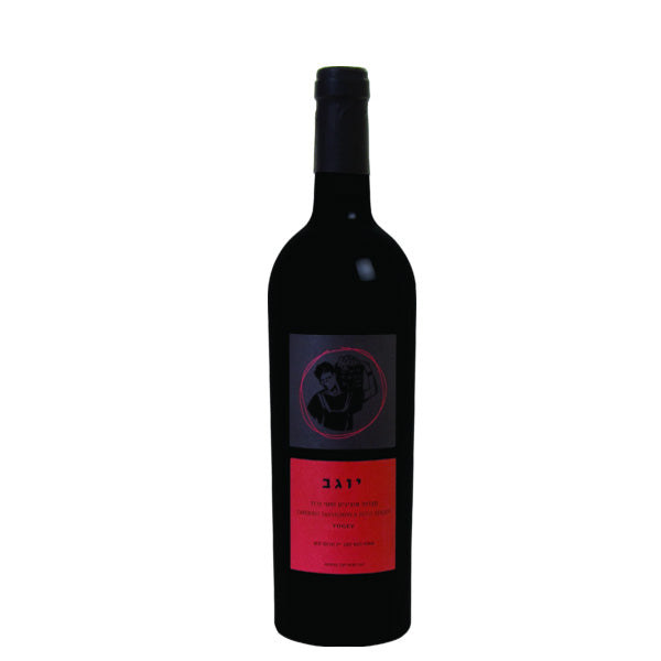 Binyamina - Yogev Cabernet Sauvignon Petit Verdot Dry Red Wine