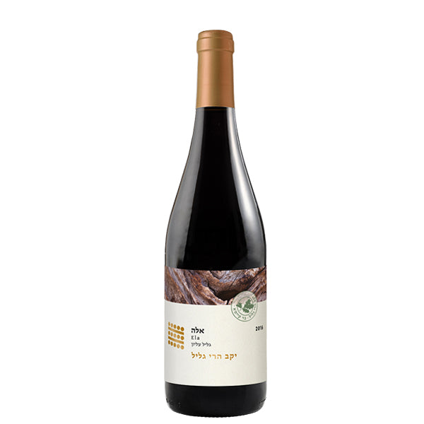 Galil Mountain - 2019 Alon Red Blend Wine